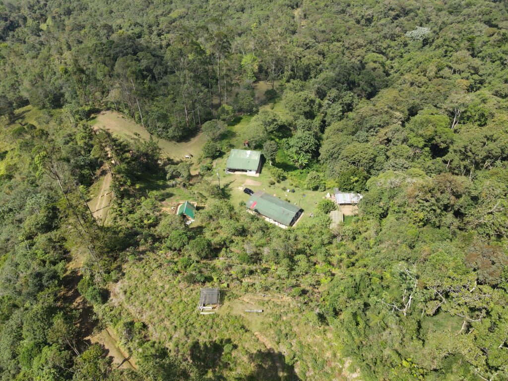 Camping en el bosque